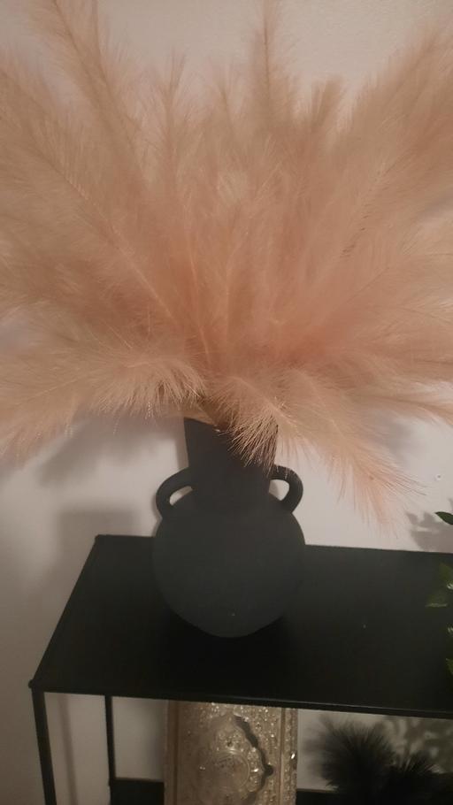 Buy & Sell East London Forest Gate - East London - Photos for pampas flower vase