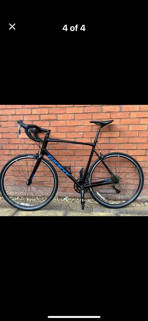 Buy & Sell Devon East Devon - Photos for Giant Road bike size XL