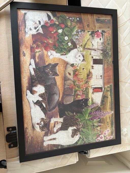 Buy & Sell Leicestershire Harborough - Photos for Framed cat jigsaw