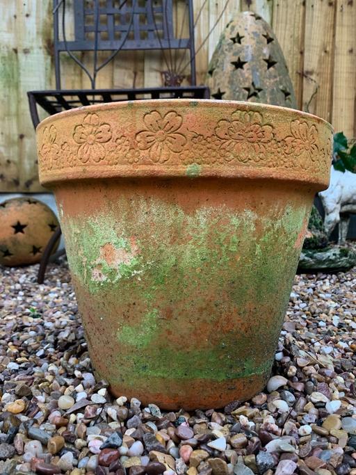 Buy & Sell Nottinghamshire Rushcliffe - Photos for Lovely vintage terracotta plant pot