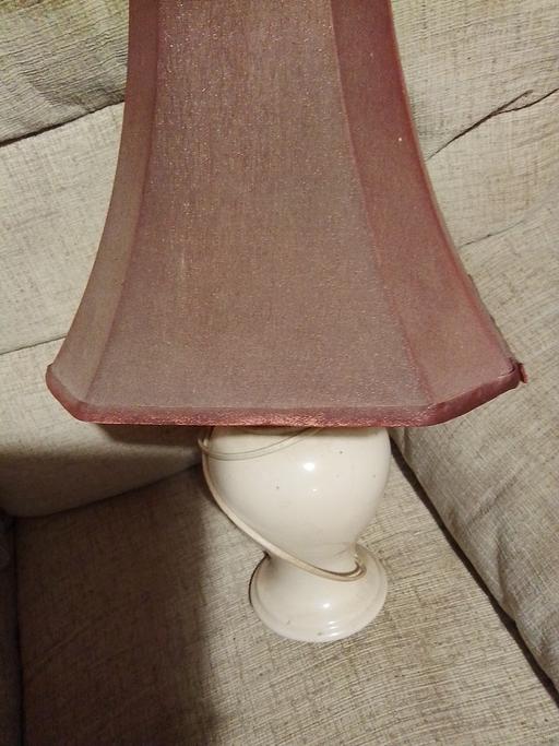 Buy & Sell Staffordshire Cannock Chase - Photos for lamp