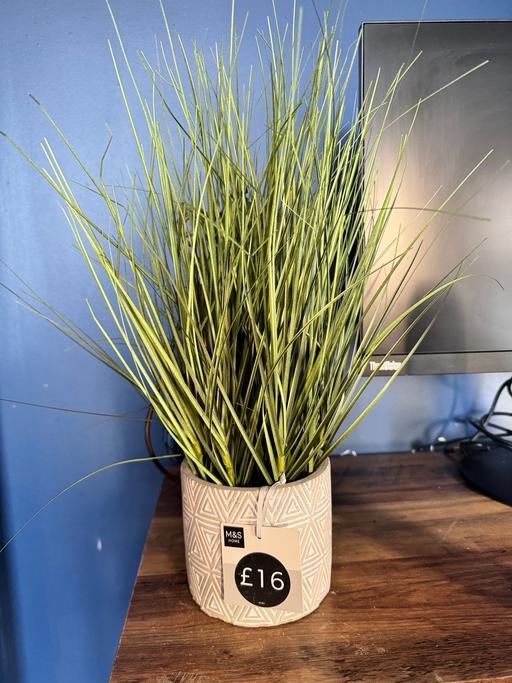 Buy & Sell East London Leyton - E15 - Photos for M&S Faux indoor table plant