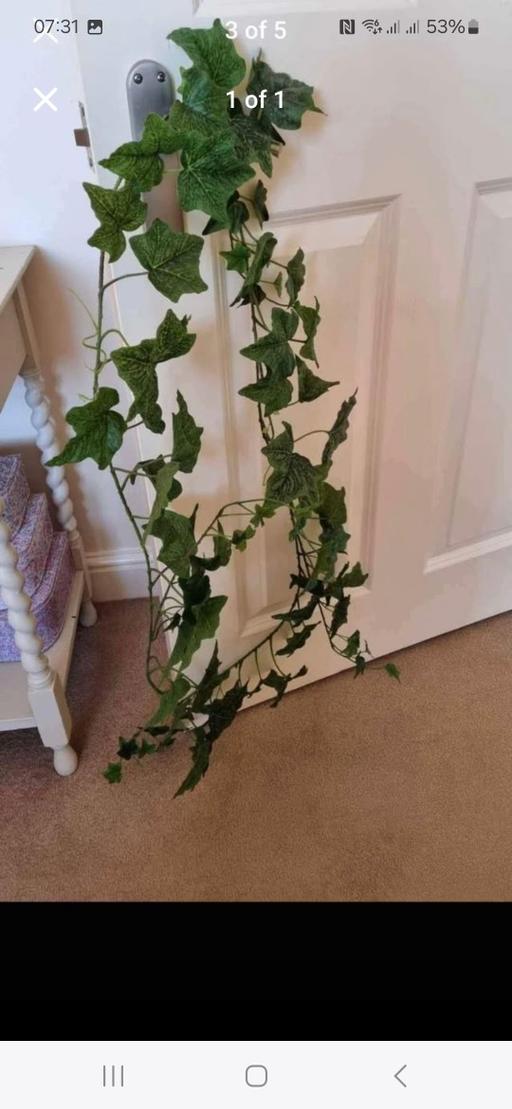 Buy & Sell East Sussex Eastbourne - Photos for Faux Ivy