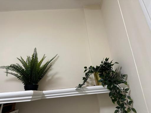 Buy & Sell Worcestershire Bromsgrove - Photos for Fake plant bundle