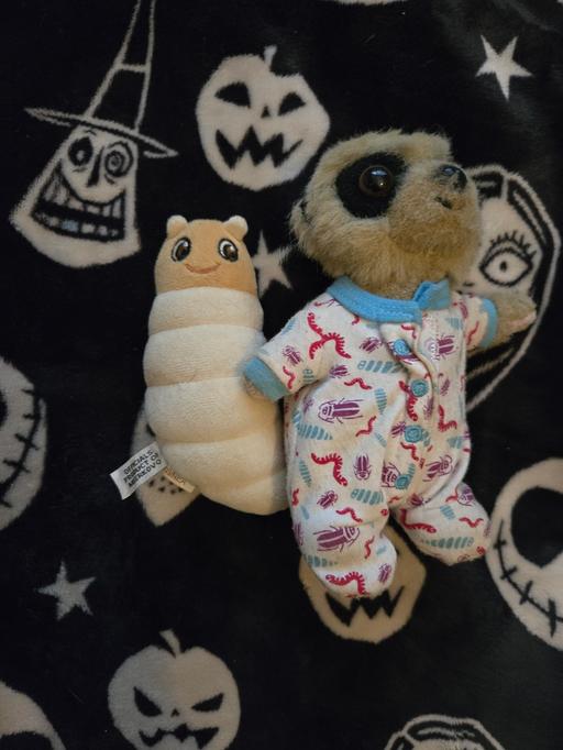 Buy & Sell Staffordshire Tamworth - Photos for Collection of Meercats