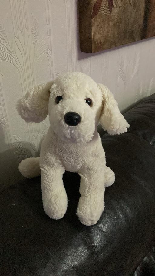 Buy & Sell West Midlands Sandwell - Photos for Dog plush toy