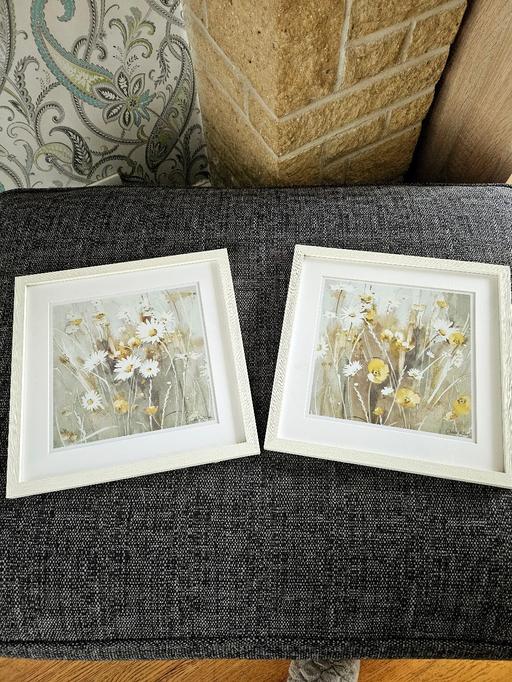 Buy & Sell South Yorkshire Doncaster - Photos for Set of 2 lovely floral pictures..12 inches sq