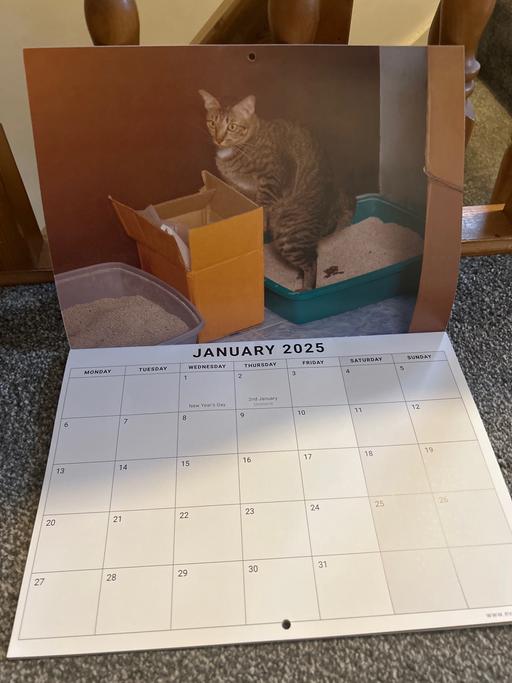 Buy & Sell Derbyshire North East Derbyshire - Photos for Pooping cats 2025 calendar