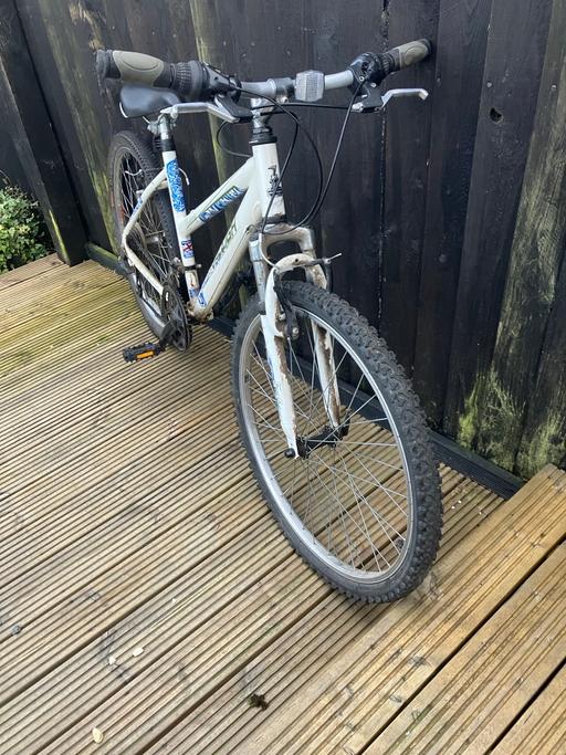 Buy & Sell Torfaen - Wales Pontnewydd - Torfaen - Photos for Raleigh Mustang ladies bike