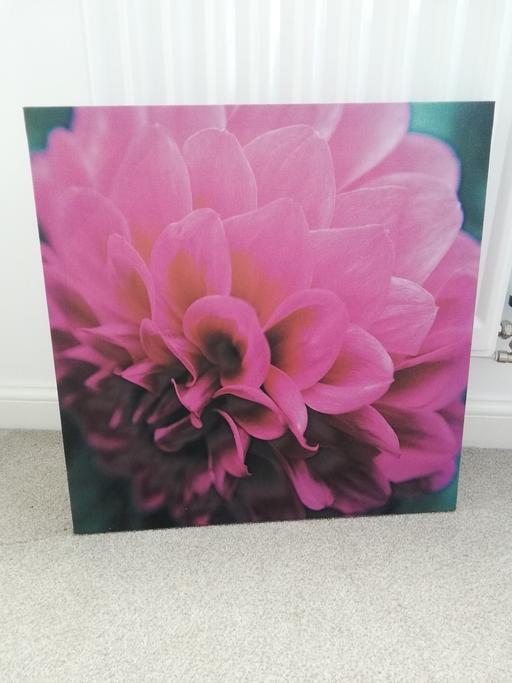 Buy & Sell Gloucestershire Tewkesbury - Photos for Pink Floral Canvas Picture