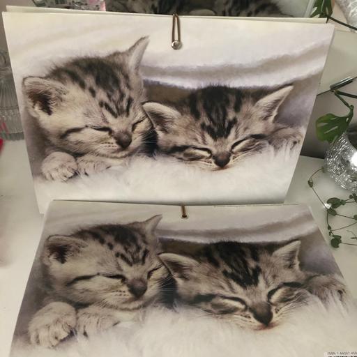 Buy & Sell Gloucestershire South Gloucestershire - Photos for Home filing organiser folders x2 cat cats