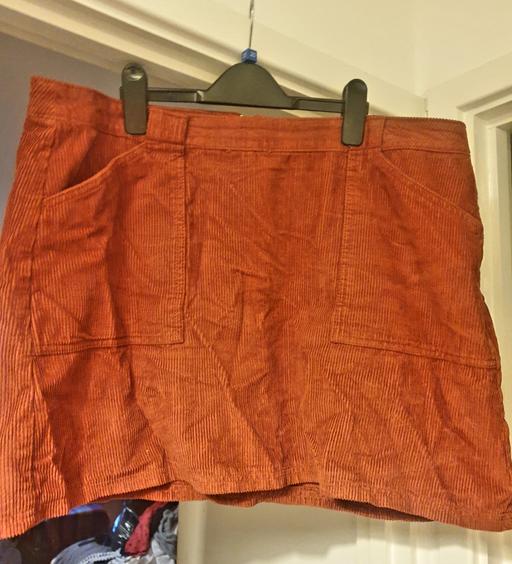 Buy & Sell Derbyshire Chesterfield - Photos for Burnt orange ladies skirt