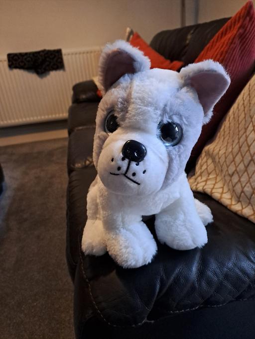 Buy & Sell South Yorkshire Sheffield - Photos for soft toy pug dog