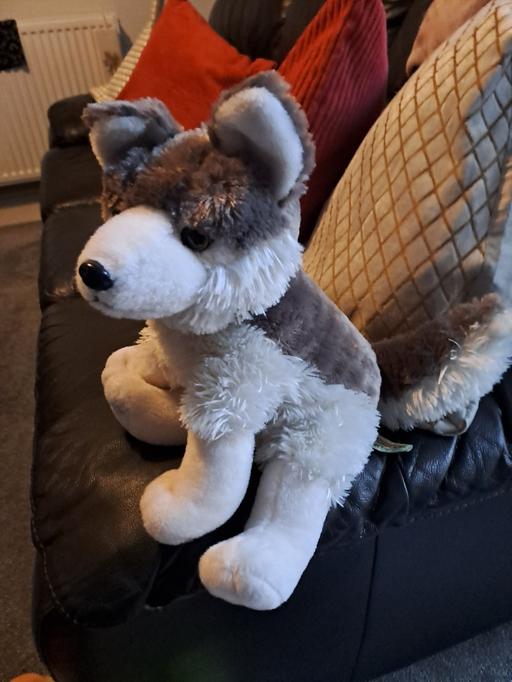 Buy & Sell South Yorkshire Sheffield - Photos for softctoy dog