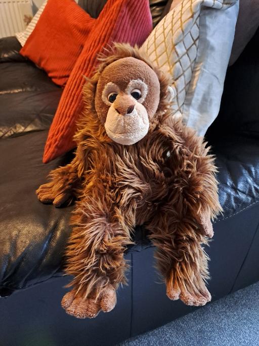 Buy & Sell South Yorkshire Sheffield - Photos for toy monkey