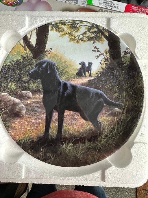 Buy & Sell South Yorkshire Doncaster - Photos for Labrador plate ‘The Scout’