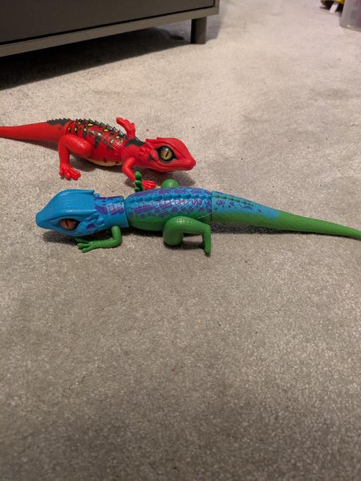 Buy & Sell Essex Basildon - Photos for toy geckos