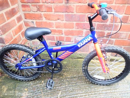 Buy & Sell Greater Manchester Stockport - Photos for Piranha Iguana bike