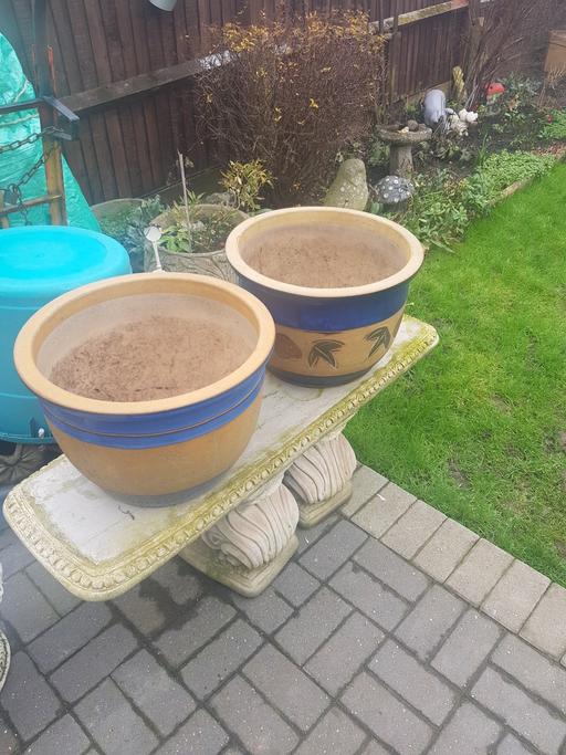 Buy & Sell Bexley Welling - Bexley - Photos for Garden Pots