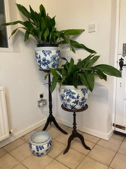 Buy & Sell Cheshire East Over Alderley - Cheshire East - Photos for 3 X Huge Chinese Fishbowl Planters