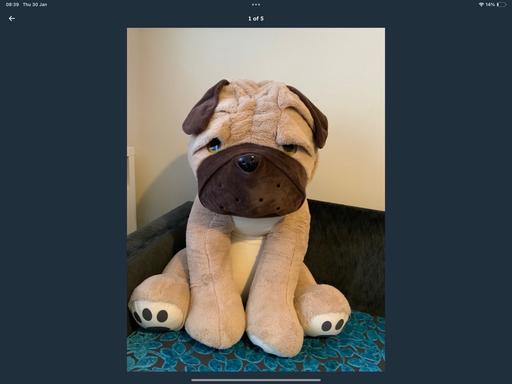 Buy & Sell South East London Southend - South East London - Photos for Beige cream big huge soft toy dog