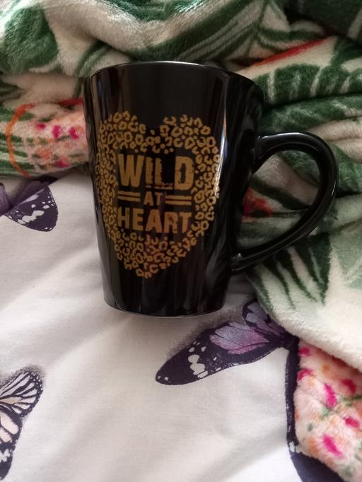 Buy & Sell Bedfordshire Bedford - Photos for wild at heart mug