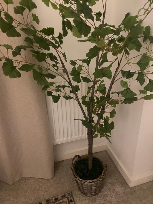 Buy & Sell East London Havering - Photos for Large Faux Tree