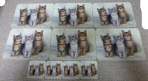 Buy & Sell Devon Plymouth - Photos for Cat placemats & coasters