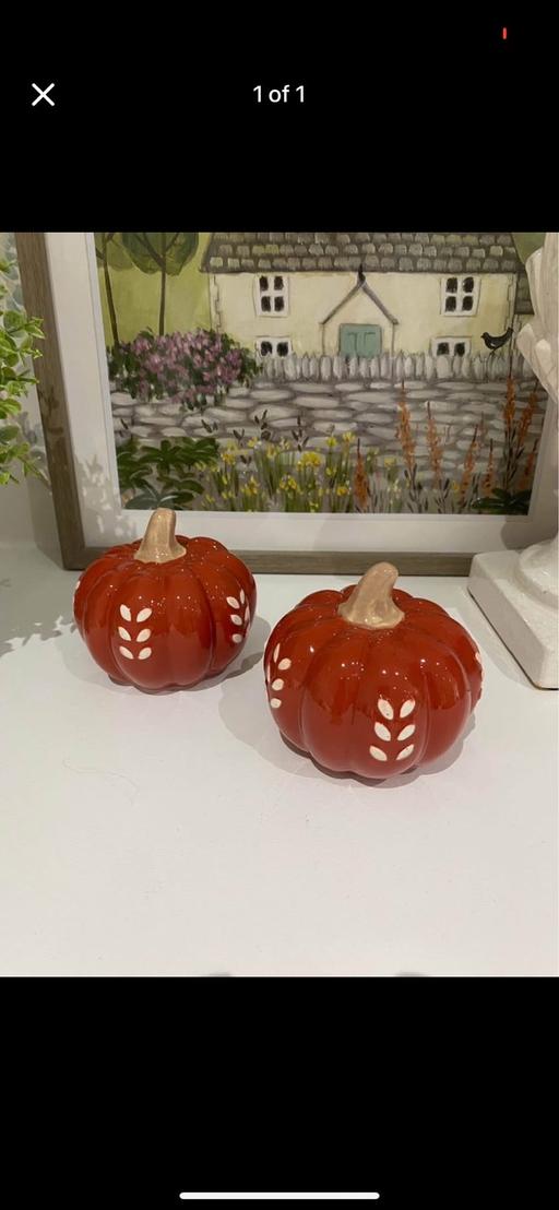 Buy & Sell West Yorkshire Wakefield - Photos for Ceramic pumpkins