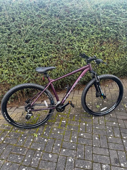 Buy & Sell Staffordshire East Staffordshire - Photos for Carrera Hellcat Women’s Mountain Bike Purple