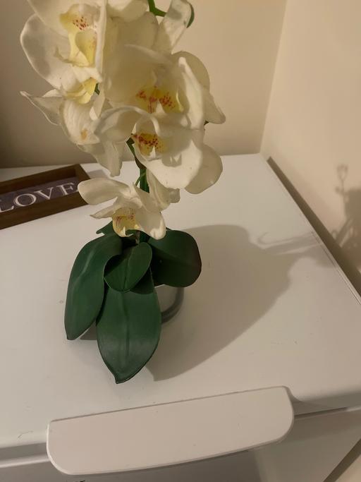 training South East London Plumstead - South East London - Photos for Artificial cream orchid in glass plant pot