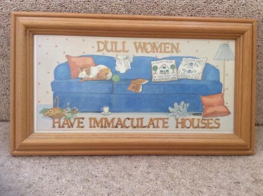 Buy & Sell West Midlands Solihull - Photos for Dull women have immaculate houses print