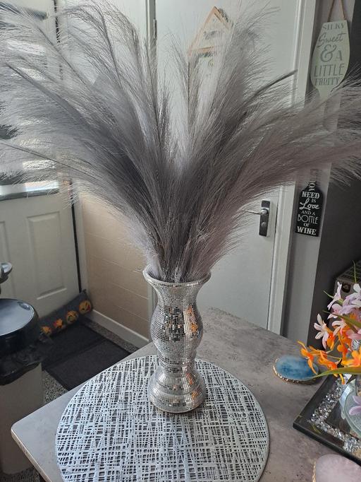 Buy & Sell South Yorkshire Sheffield - Photos for bing vase and gray feathers