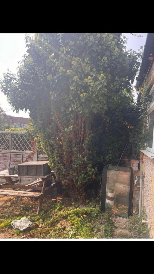 Buy & Sell Kent Gravesham - Photos for Garden work