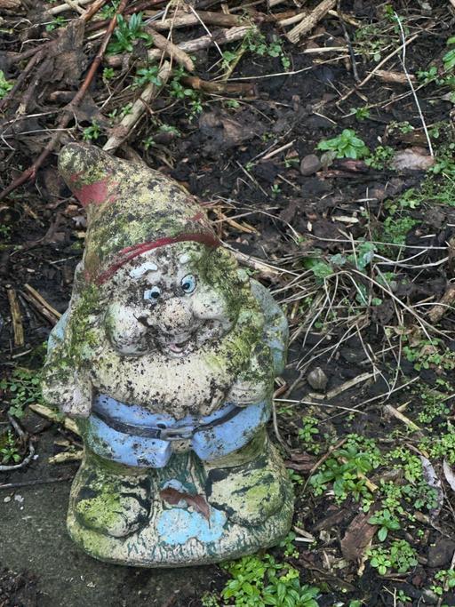 Buy & Sell Greater Manchester Bolton - Photos for Garden Gnome