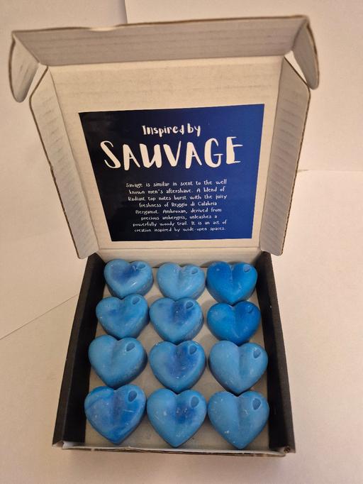 Buy & Sell West Midlands Dudley - Photos for Savage wax melt gift set 12 melts