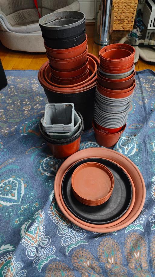 Buy & Sell South West London Woodlands - South West London - Photos for Assorted used x44 plastic pots x13 trays