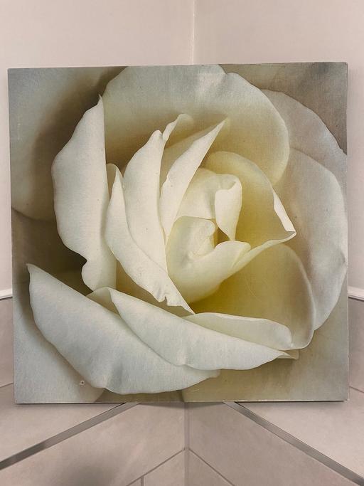 Buy & Sell South East London Crofton Park - South East London - Photos for White rose canvas