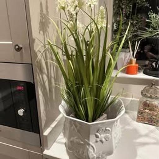 Buy & Sell Nottinghamshire Ashfield - Photos for Very Large White Glazed Decorated Planter