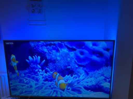 Buy & Sell Wiltshire Trowbridge - Wiltshire - Photos for Philips 58” Ambilight TV