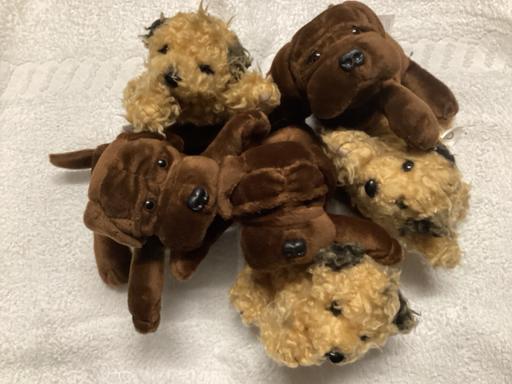 Buy & Sell West Midlands Solihull - Photos for Soft toys 6 x Daz dogs new