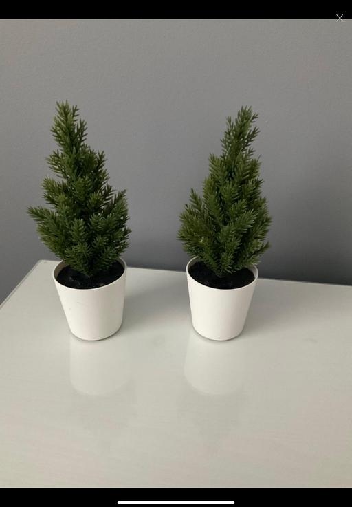 Buy & Sell North Northamptonshire Telford Way Industrial Estate - North Northamptonshire - Photos for Pair of small artificial trees 🌲