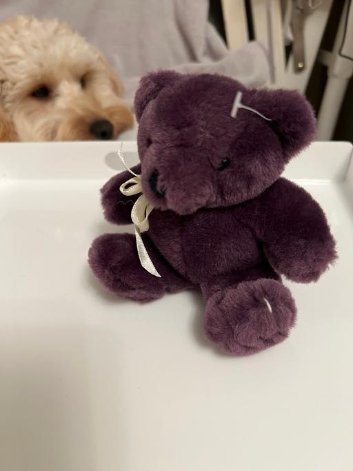 Buy & Sell Tyne and Wear Sunderland - Photos for Purple Teddy Bear ( New )