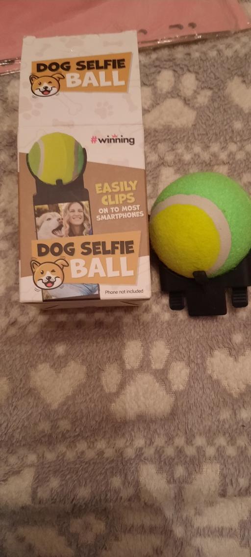 Buy & Sell Merseyside Saint Helens - Photos for Dog Selfie ball