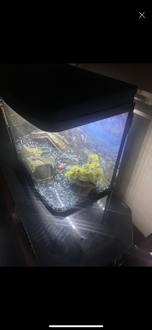 Buy & Sell West Midlands Birmingham - Photos for Fish tank