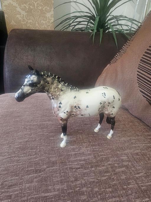 Buy & Sell West Yorkshire Leeds - Photos for rare Beswick appaloosa stallion