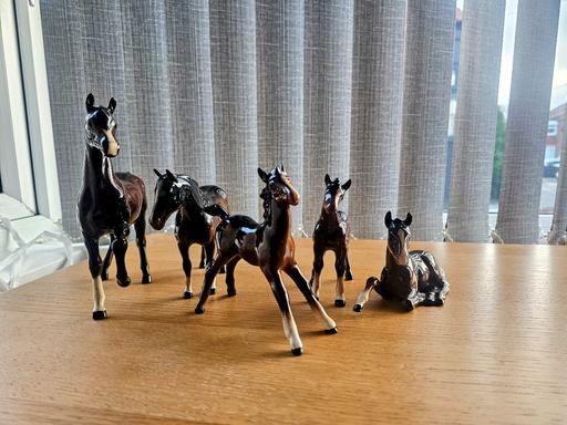 Buy & Sell West Yorkshire Leeds - Photos for 5 beswick foals