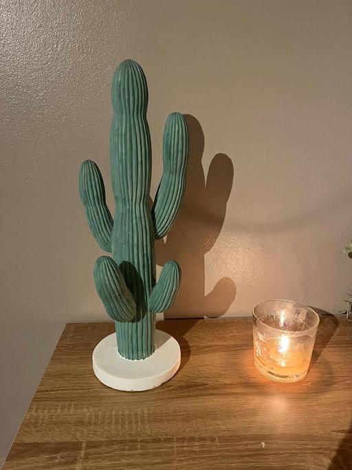 Buy & Sell Greater Manchester Bury - Photos for Cactus ornament