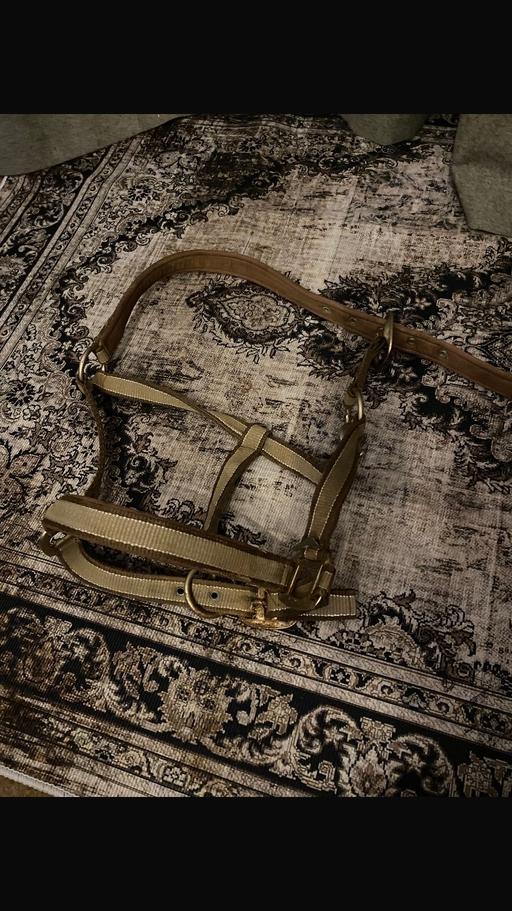 Buy & Sell West Midlands Sandwell - Photos for Horse cob sized headcollar