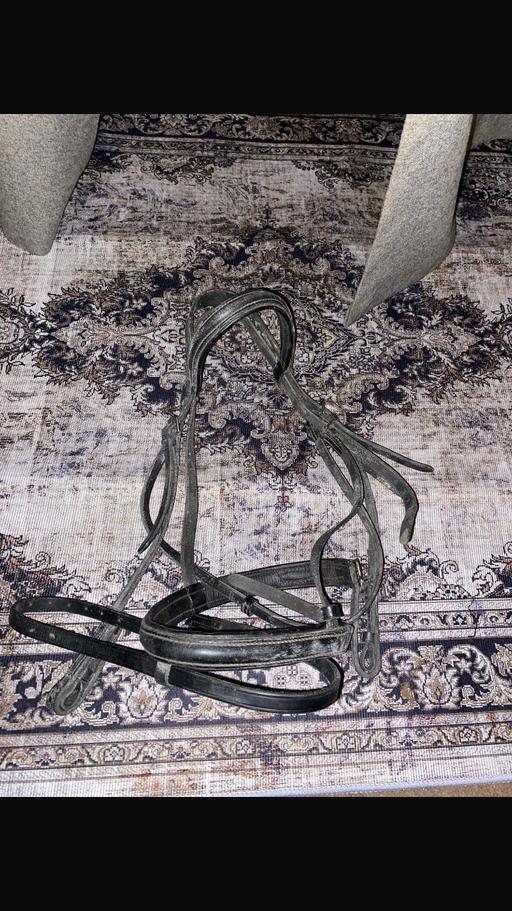 Buy & Sell West Midlands Sandwell - Photos for Horse full size bridle